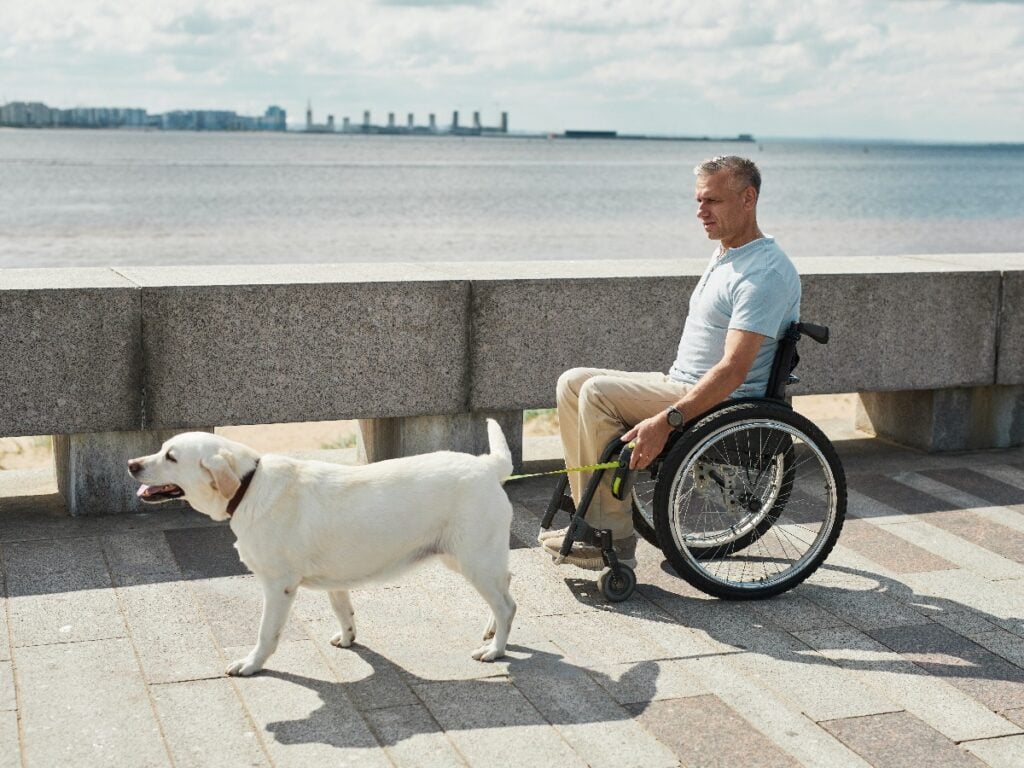 Mann im Rollstuhl führt Hund aus